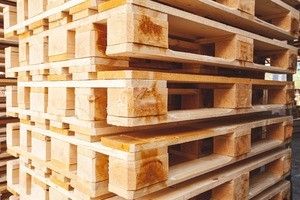 Machinery For The Pallet Industry