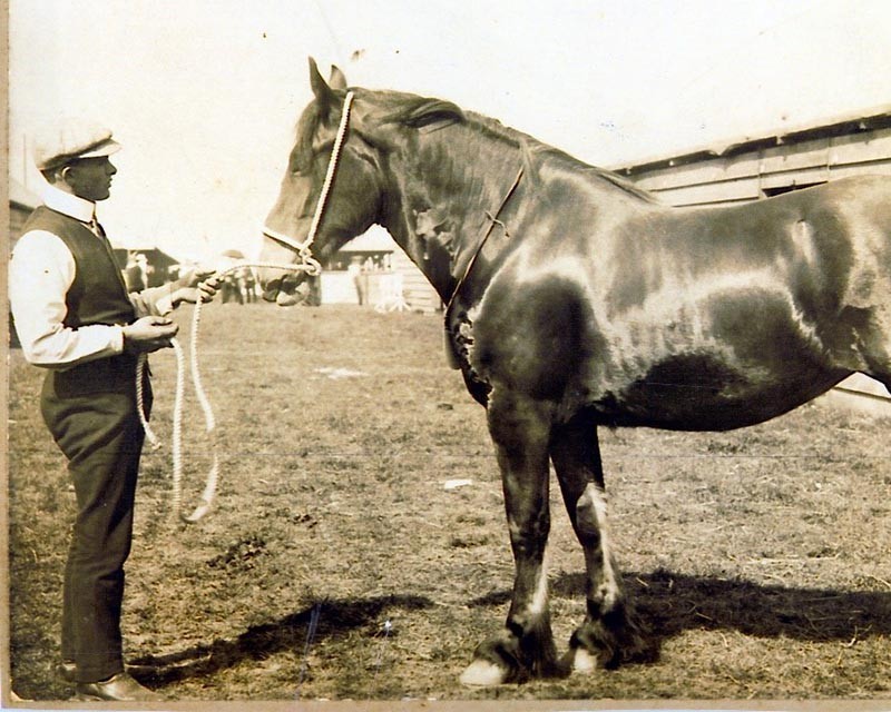 jjsmith farm 1906